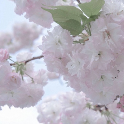 Furry插画细节提升FurryQQ群